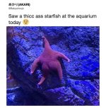 FB_IMG_17390132648823165.jpg