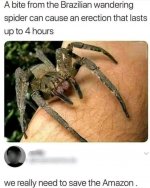 FB_IMG_17392034903392391.jpg