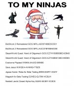 Ninjas.jpg
