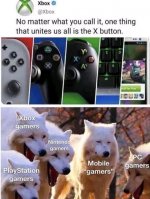 FB_IMG_17428499329688140.jpg
