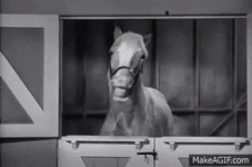 GIF_20250703_170922_950.gif
