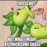 FB_IMG_17528481453528425.jpg