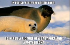 FB_IMG_17551567871888637.jpg