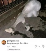 FB_IMG_17593174978924362.jpg