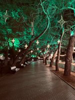 IMG_1374.jpeg