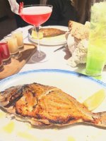 IMG_1456.jpeg