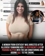 FB_IMG_17653047598809852.jpg FB_IMG_17653047598809852.jpg