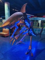 IMG_5701.jpg