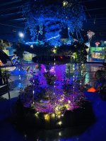 IMG_5737.jpg
