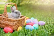 easter_bunny.jpg
