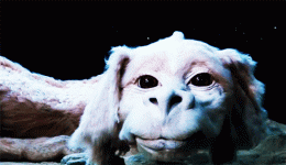 falk1.gif