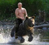 putin-riding-bear-3198769850.jpg
