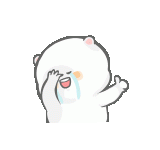 AW4030209_06.gif