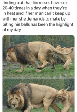 1668339444058.png