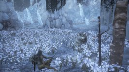 DS3-3.jpg
