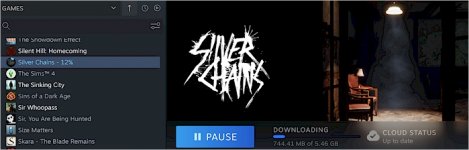 Silver Chanins.jpg