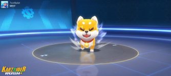 Perm Dog.jpg
