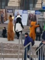 yogi-bear.jpg