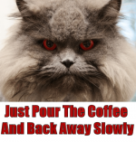 just-pour-the-coffee-and-back-away-slowly.png