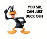 3593502b4ae8505ece890be7c33e74ef--daffy-duck-duck-dynasty.jpg